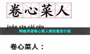 网络用语卷心菜人梗的意思介绍