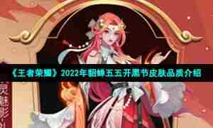 《王者荣耀》2022年貂蝉五五开黑节皮肤品质介绍