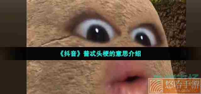 《抖音》普忒头梗的意思介绍