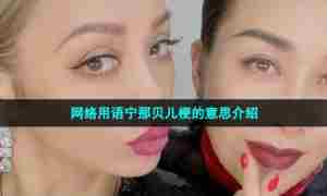 网络用语宁那贝儿梗的意思介绍