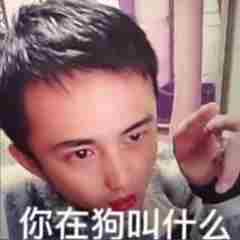 诡计多端的小芳梗的意思介绍