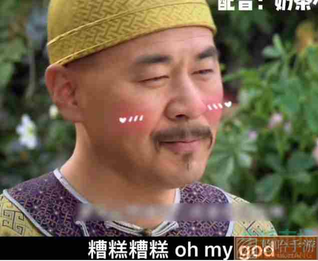 《抖音》甄嬛传版糟糕哦买尬歌词分享