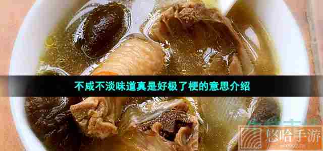 不咸不淡味道真是好极了梗的意思介绍