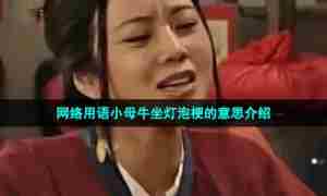 网络用语小母牛坐灯泡梗的意思介绍