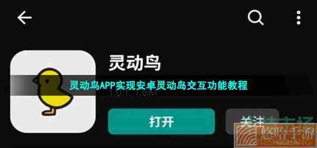灵动鸟APP实现安卓灵动岛交互功能教程