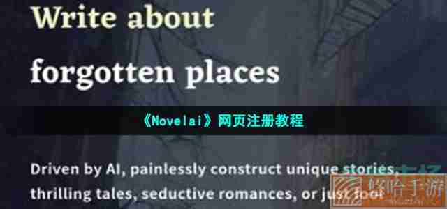 《Novelai》网页注册教程