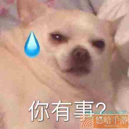 网络用语毕业日梗的意思介绍