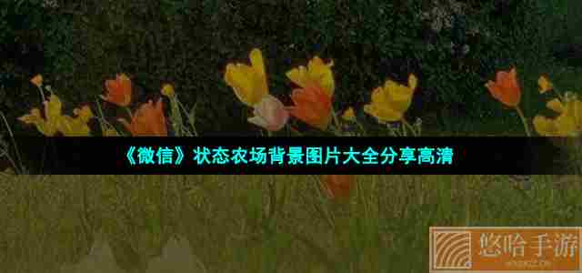 《微信》状态农场背景图片大全分享高清无水印