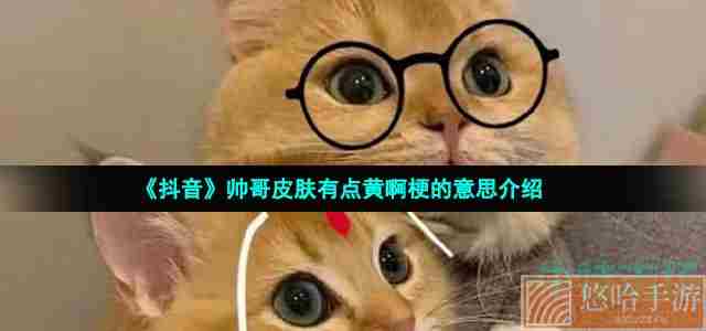《抖音》帅哥皮肤有点黄啊梗的意思介绍