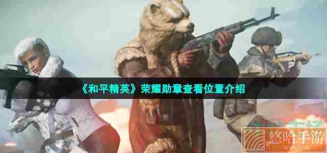 《和平精英》荣耀勋章查看位置介绍