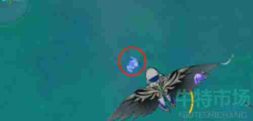 《原神》3.1版本百人一揆活动宝箱位置介绍