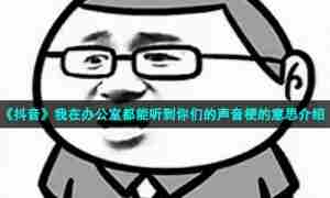《抖音》我在办公室都能听到你们的声音梗的意思介绍
