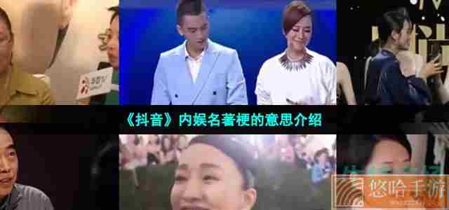 《抖音》内娱名著梗的意思介绍