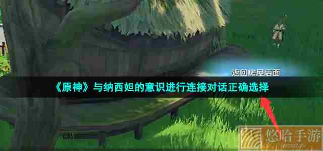 《原神》与纳西妲的意识进行连接对话正确选择