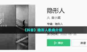 《抖音》隐形人歌曲介绍