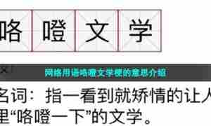 网络用语咯噔文学梗的意思介绍