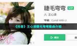 《抖音》王心凌睫毛弯弯歌曲介绍