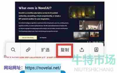 《Novelai》网页注册教程