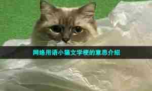 网络用语小猫文学梗的意思介绍